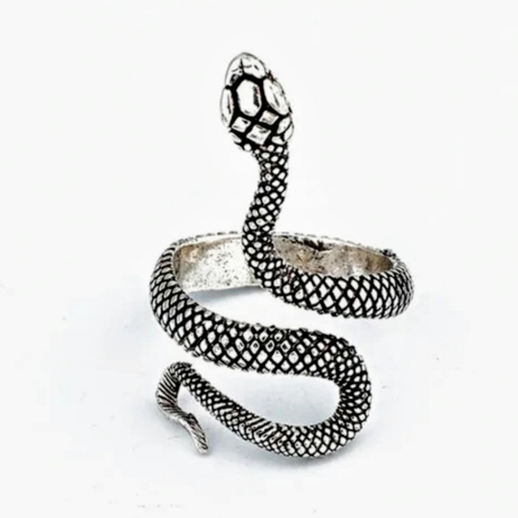 COIL SNAKE RING - Picture 4 of 5